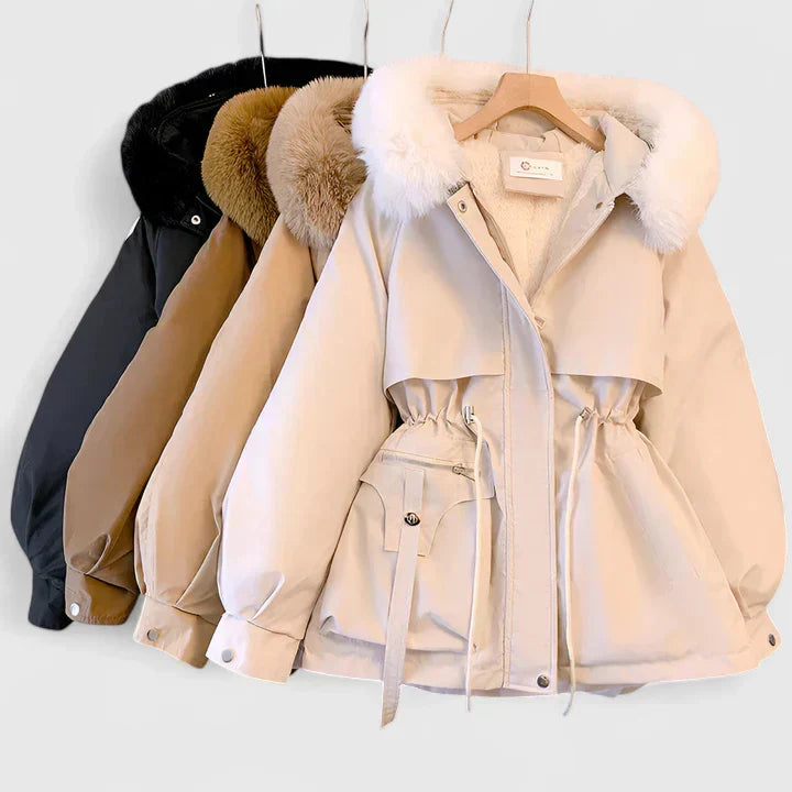Women's Elegant Jacket Tailored Fit Long Sleeve Notched Collar Classic Styling